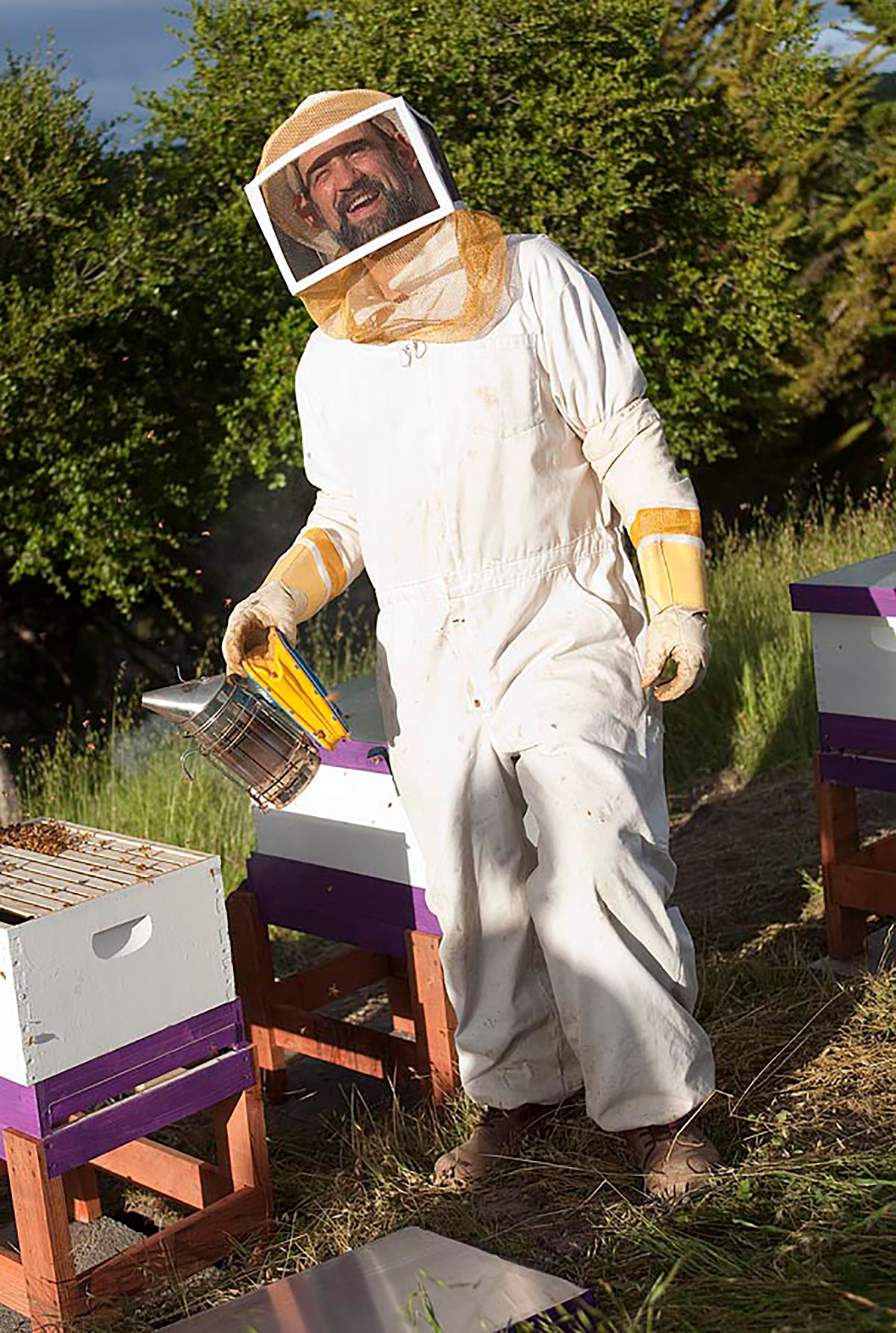 Busy Bee Keeper - David Royal Photography